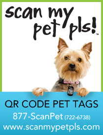 Scan My Pet Pls! QR Code Pet Tags